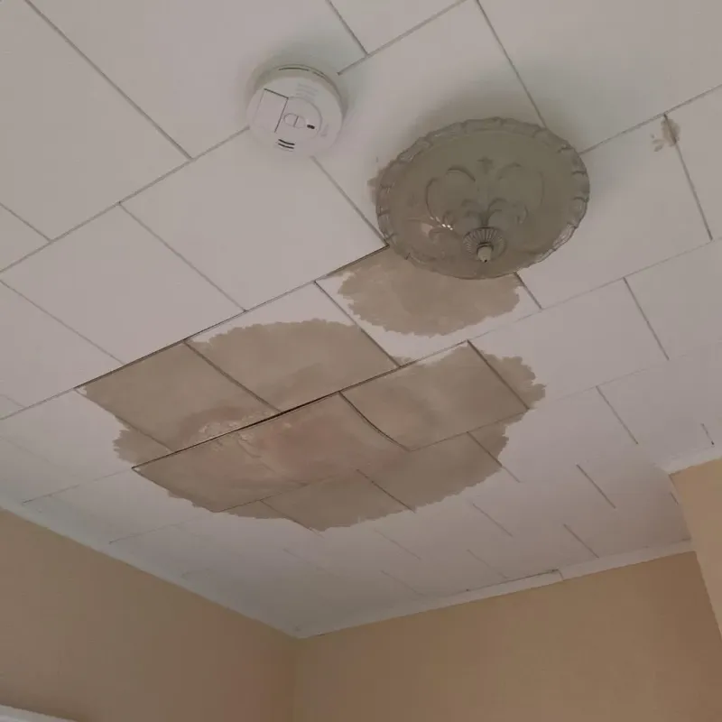 Ceiling Water Damage Repair in Jasper, AR