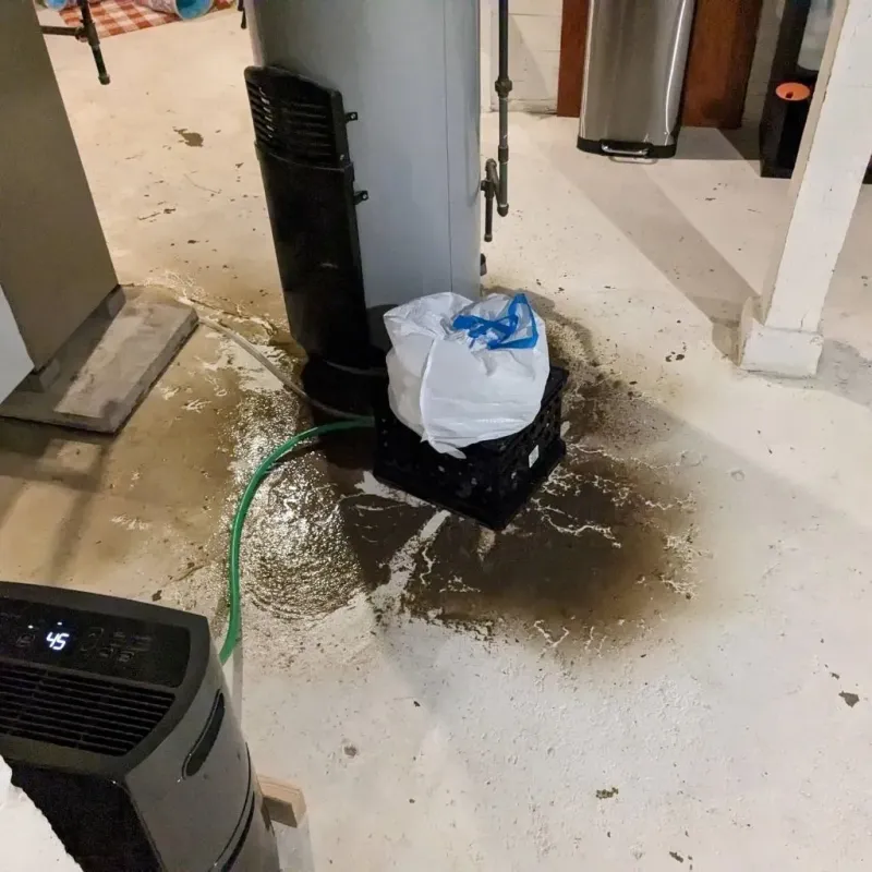 Sewage Backup Cleanup Service in Jasper, AR